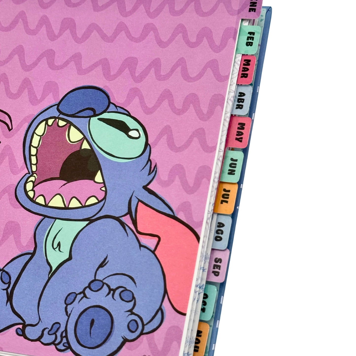 AGENDA STICH 2026